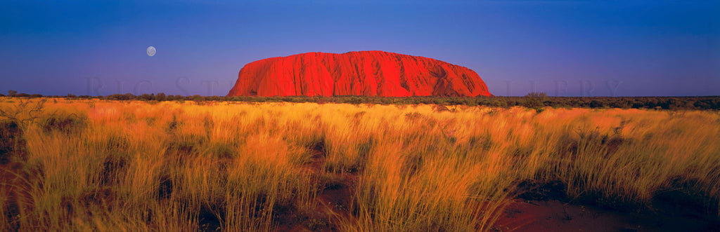 Ayers Rock - Ric Steininger Gallery Online