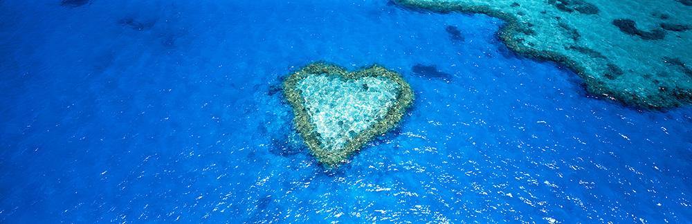 GIFT RANGE Heart Reef - Ric Steininger Gallery Online