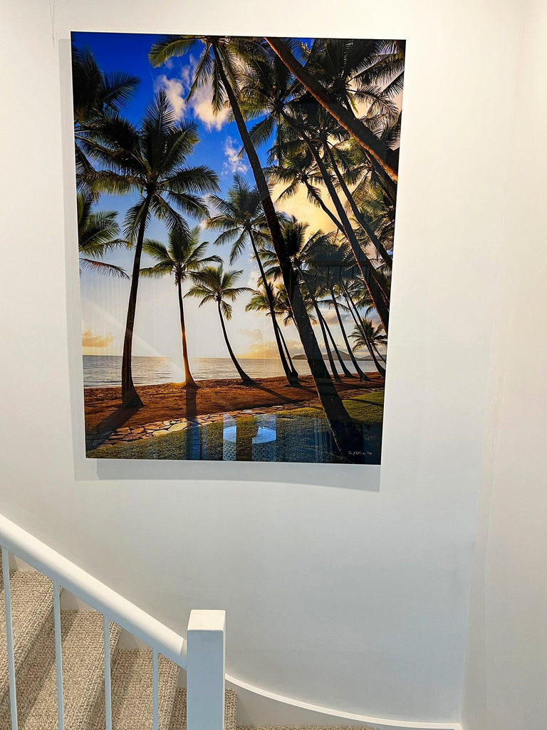 Palm Cove Palms (Landscape) - Ric Steininger Gallery Online