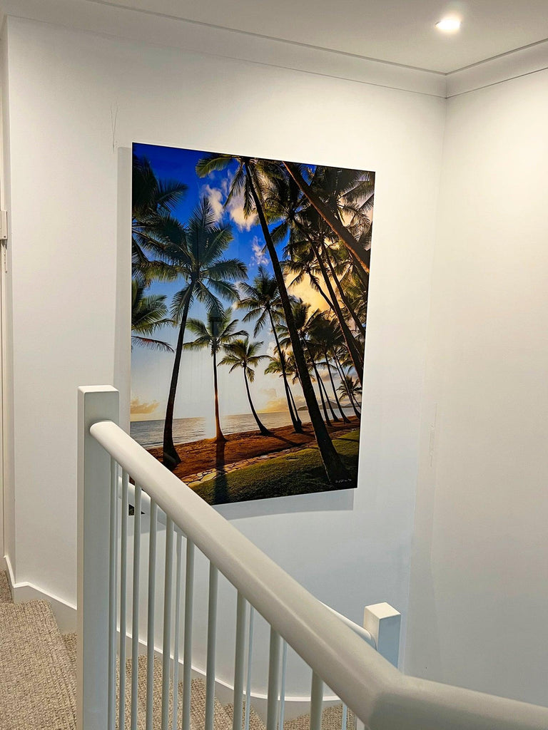 Palm Cove Palms - Ric Steininger Gallery Online